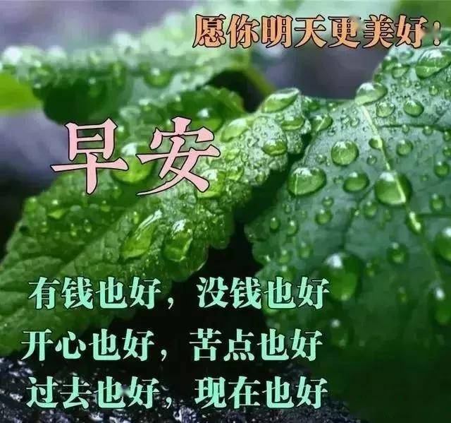 b8492232896c43b7b817f08091a7569d.jpeg