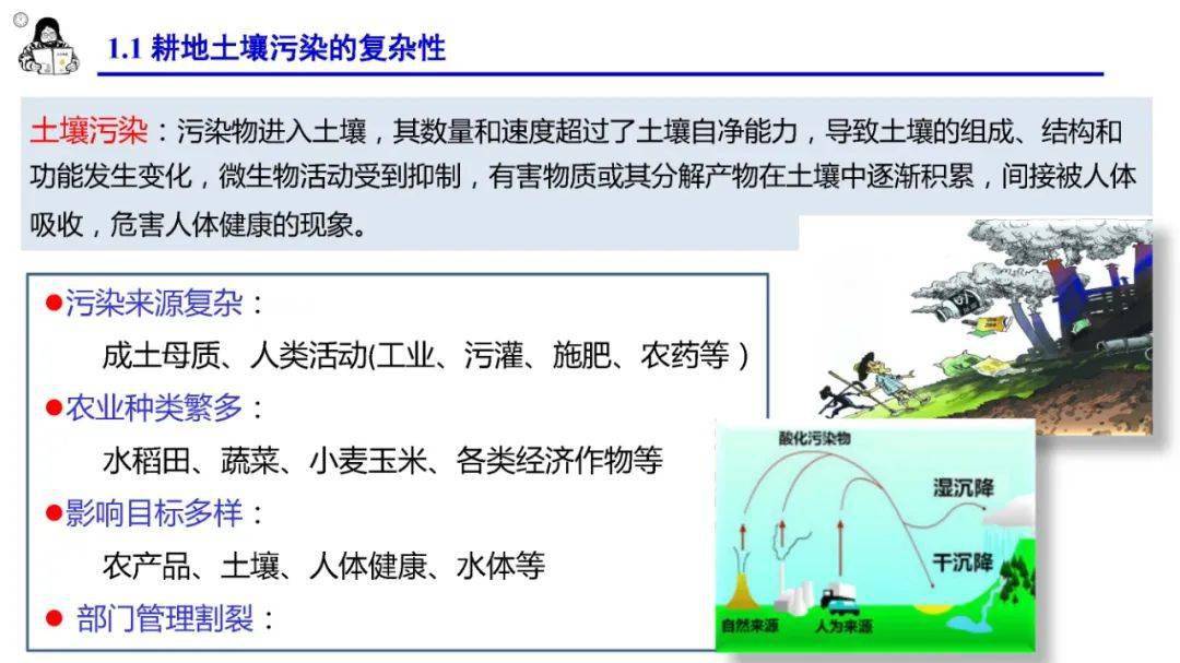 ppt教程 耕地土壤污染调查,风险评价,治理修复及效果评估