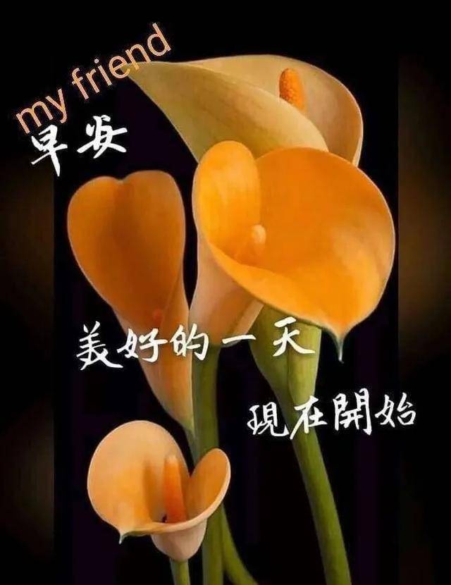 人与人之间,真诚就好;不彼此埋怨,理解就好,早安