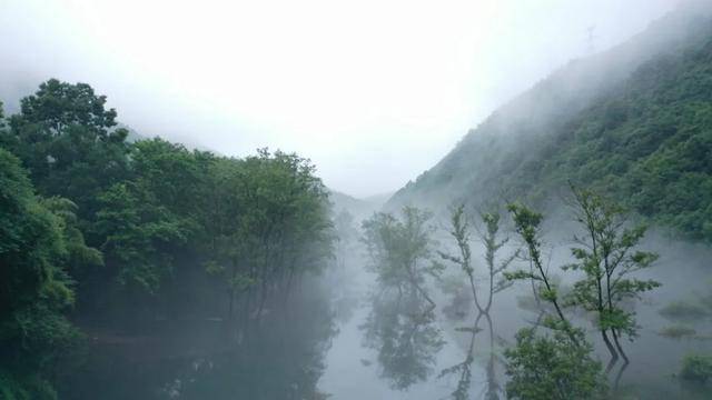 自在宁国 | 雨后青龙,云雾缭绕如入仙境!