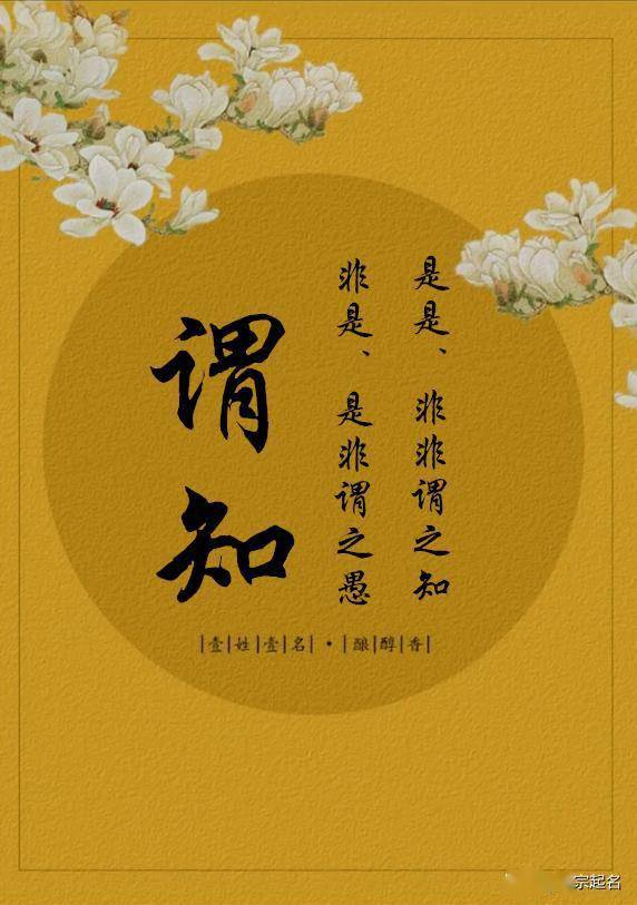 言善辩、一诺千金的寓意。谓知——是是、非非谓之知，非是、是非谓之愚