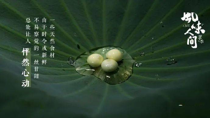 《风味人间2》收官,最全文案收藏!