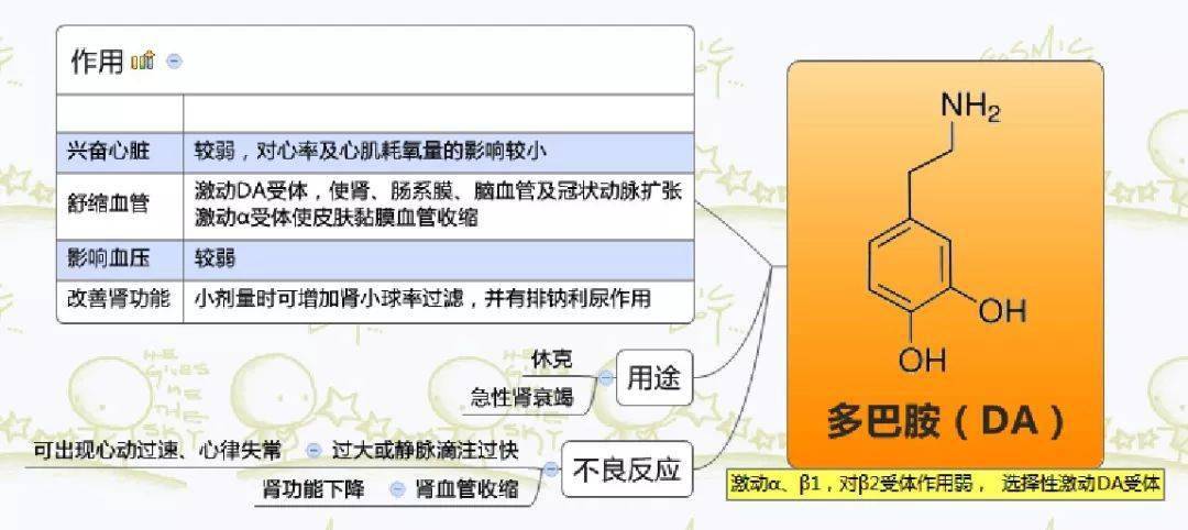 收藏|药理学思维导图