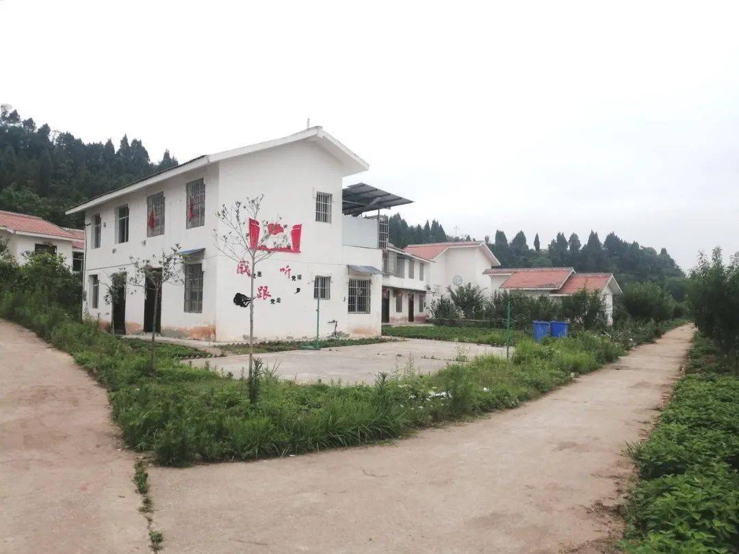 荷叶乡定水村:蔬菜产业助脱贫 生态宜居村庄美