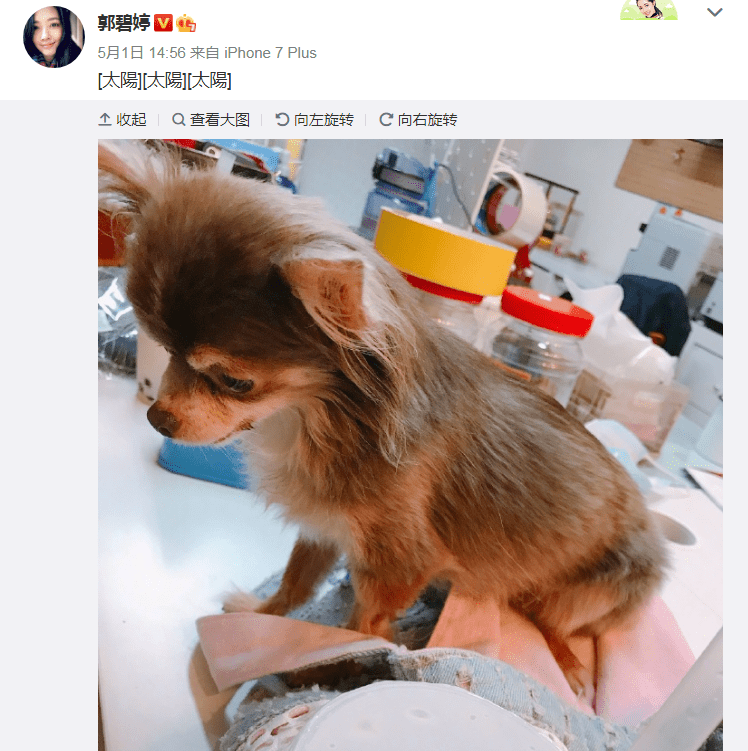 这回怀孕实锤了吧？之前老公暗示婆婆否认又是什么操作…