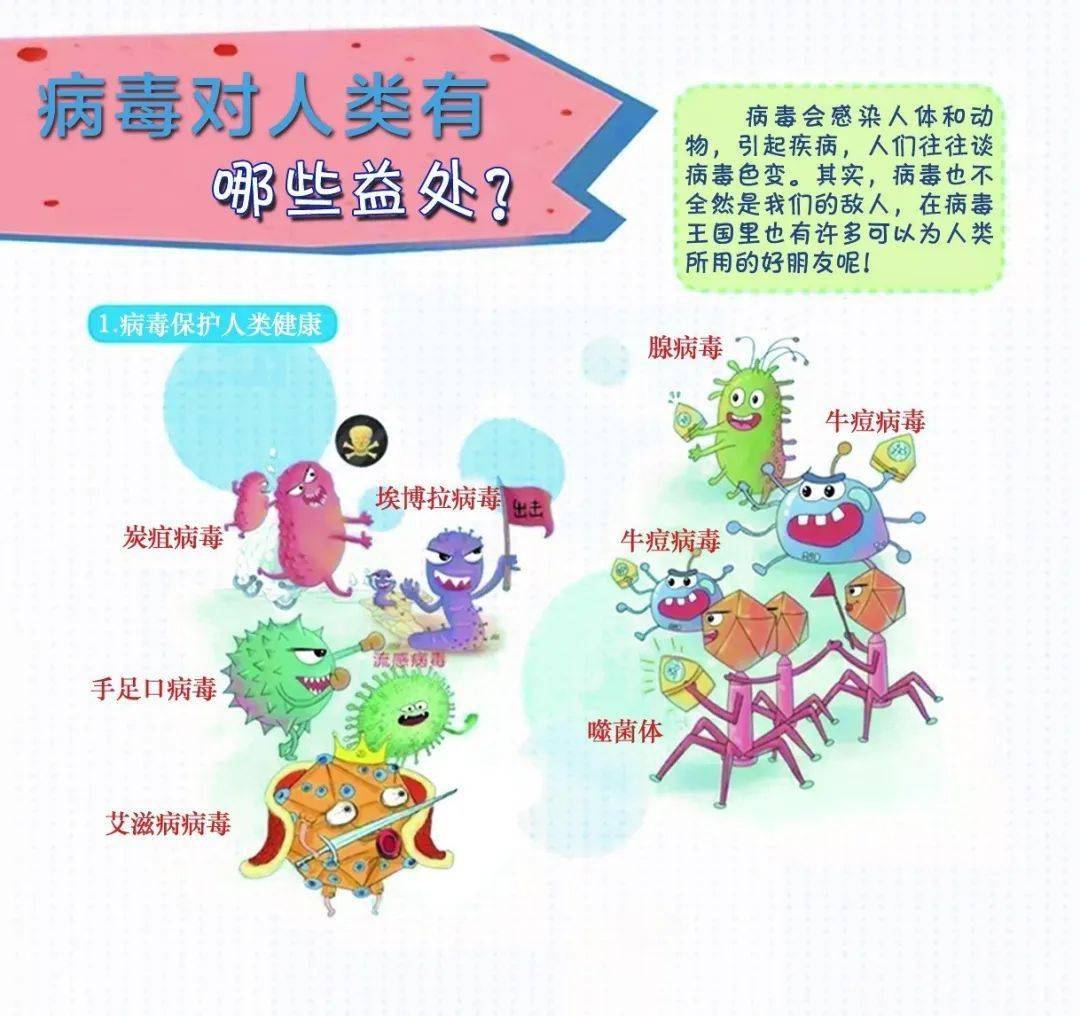 【视听科普展】写给孩子的病毒简史第5期