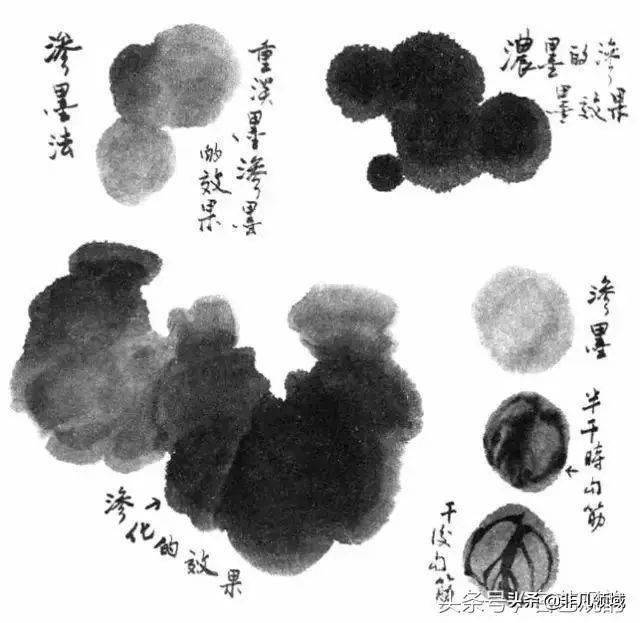 国画技法写意花鸟绘画水墨之法及注意事项