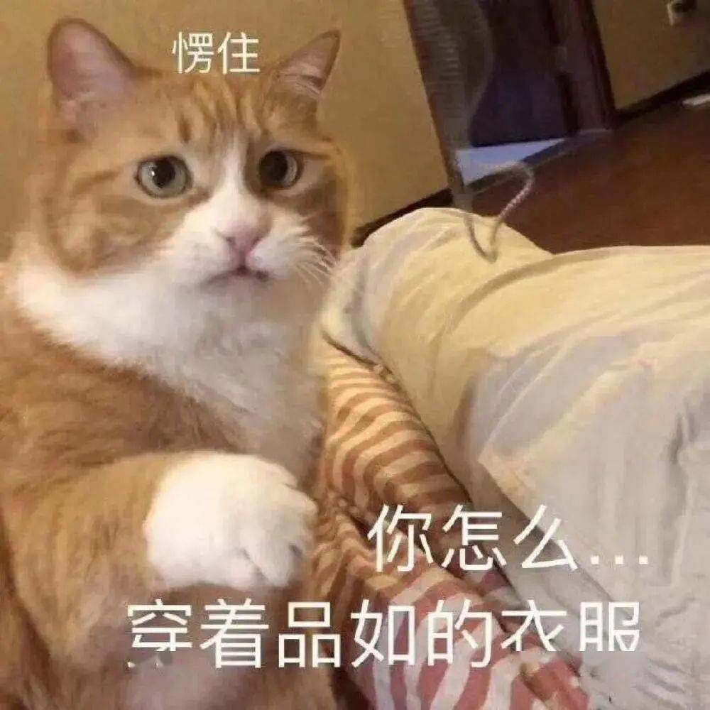 c3cbe35032d94cf38033de61ef61e242.jpeg