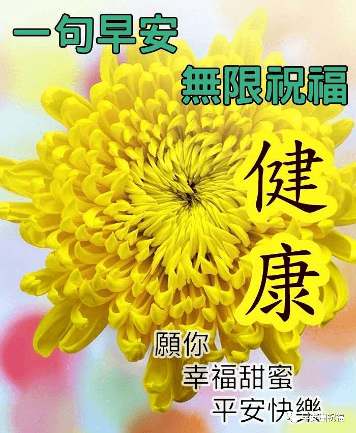 5张特别好看的早上好图片清晨祝福 最美的早上好短信祝福图片