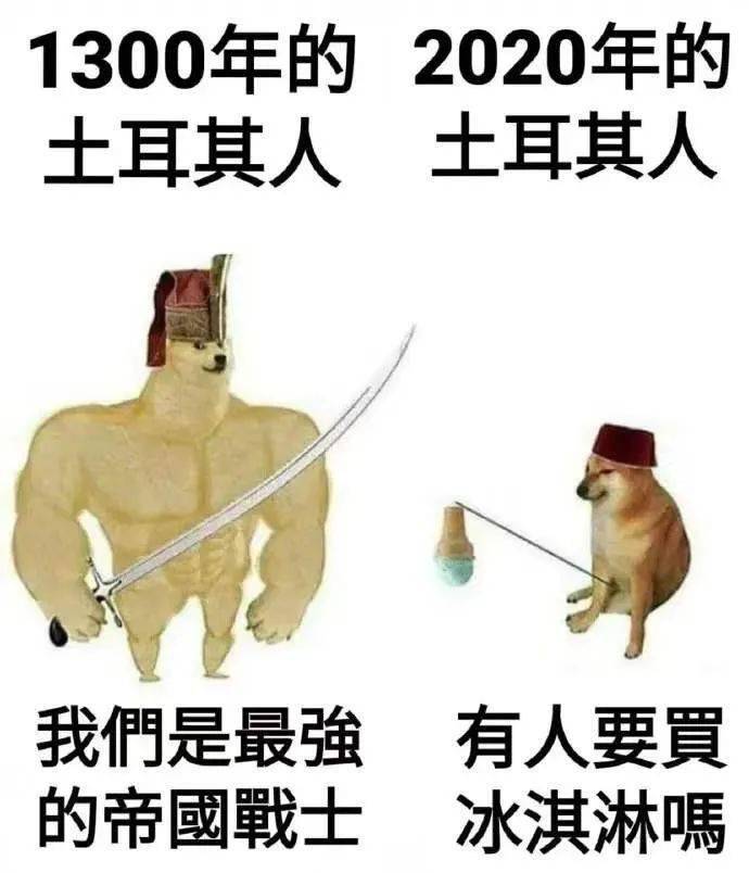 肌肉狗与小废狗老社恐了