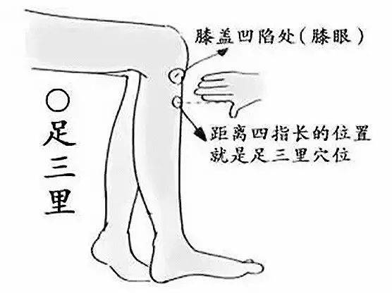 肾湿热按哪个穴 4d18daa173ec438c951791f0c8a8ac3f.jpeg