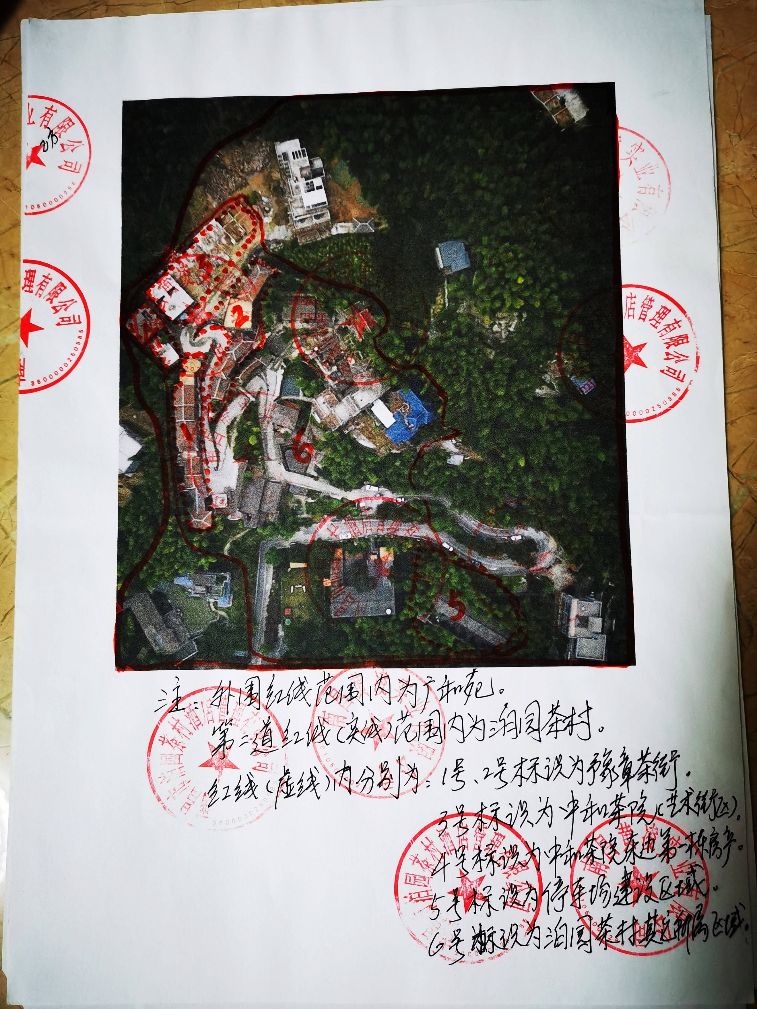 南昌梅岭沈园疑云:竹海里的招商?违法毁林的