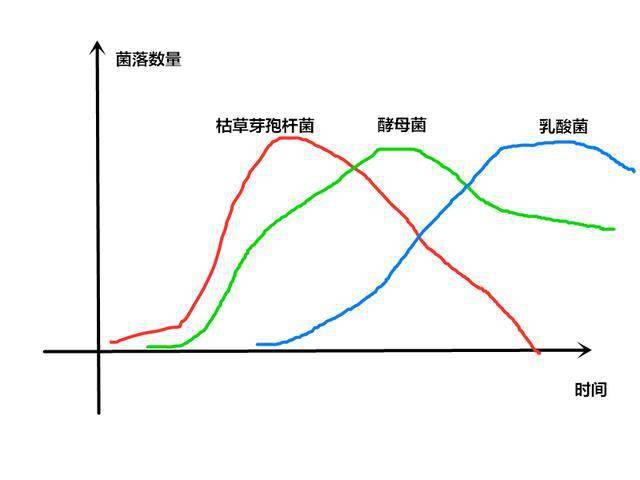 乳酸菌发酵的原理_\