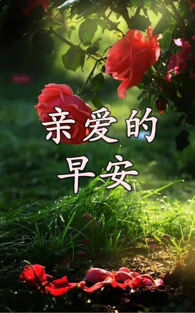 珍重再见儿歌简谱_大班儿歌珍重再见(3)