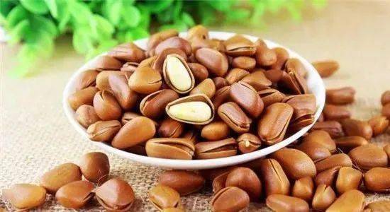 松子 0f0a1d87fa204a588a0ef6cf4db73be9.jpeg