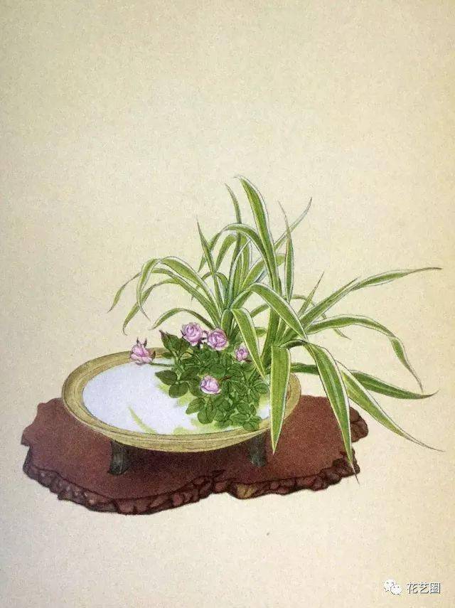 花道简谱_花道常(3)