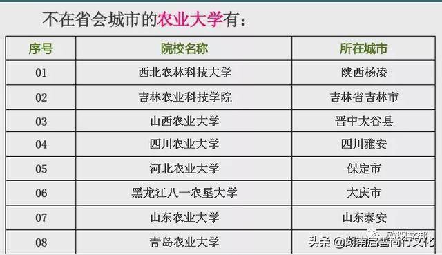 网络技术公办本科有哪些 9974fa59dd3b4f3787021ffb9853437a.jpeg