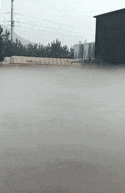 二师兄吧!还扛着你的耙子呢!这是哪里的人间仙境!