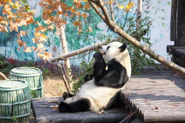 无锡|“缘大”回川，等你回来！