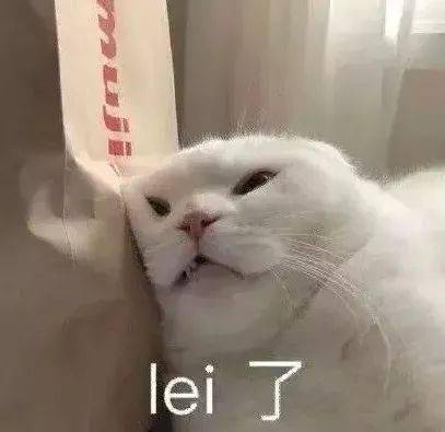 09fc1a4f824f4c2e81da525fb36ee6bc.jpeg