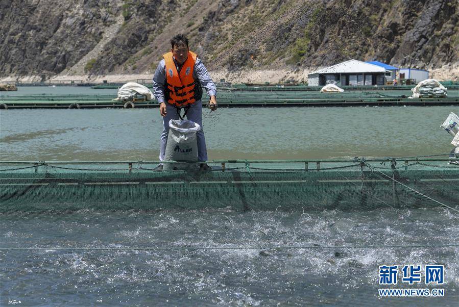 尼勒克县|天山深处牧渔乐