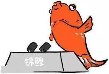 怎么让自己变成锦鲤体质 0ea7b84a65d64429b6dc9233166a8c72.jpeg