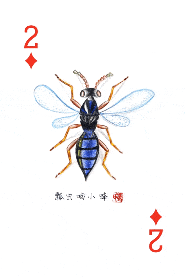 640_960 竖版 竖屏