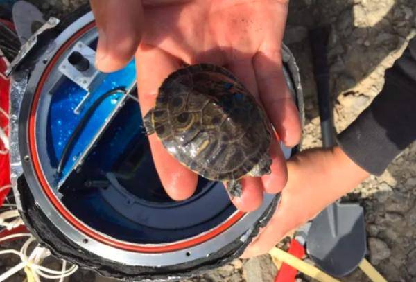 海王星|又一家“太空旅游”公司成立：计划用高空气球送人上平流层