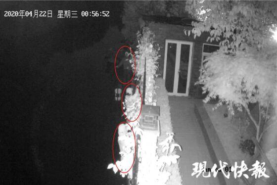 嫌疑人|入室过程不到1分钟，惯偷团伙一小时窃得近百万