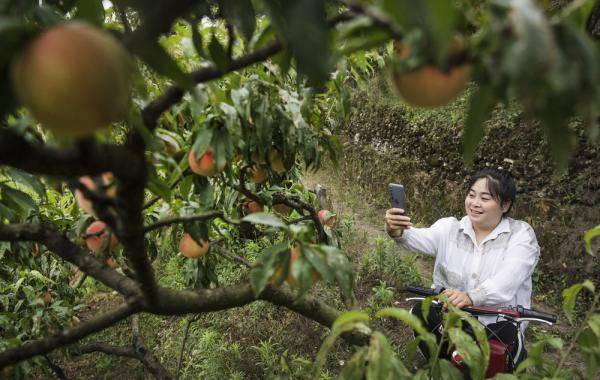 桃园|播种甜蜜的一家人