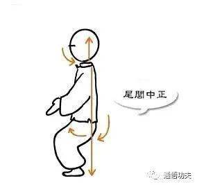 站桩出现种种反应,恰恰脱胎换骨开始!
