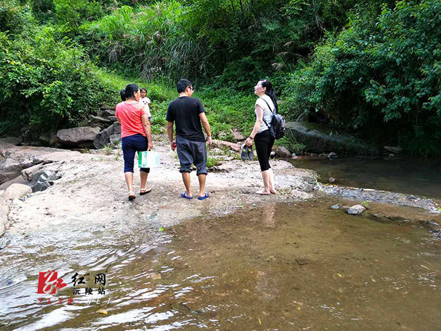 秋果何|秋果何所累 春风雨潇潇 沅陵县干部袁卫华的结对帮扶故事