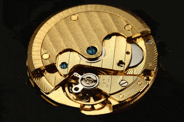 df50cf86c4b1448fb9d7bce75310ad33.gif