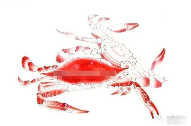 工笔螃蟹画法步骤详解螃蟹的构图白描稿