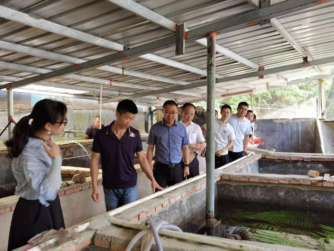 永建镇永平村人口_永平镇老大图