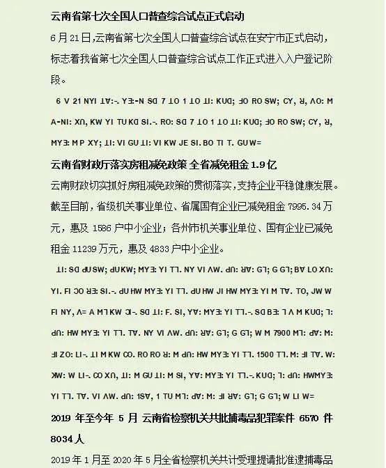 简谱草果_草果图片(2)