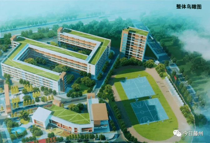 县第四小学效果图