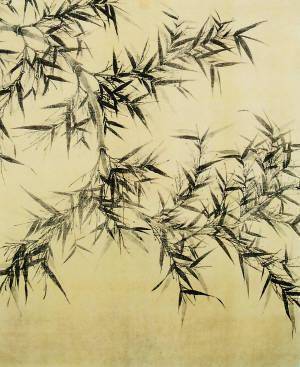 竹子简谱画_竹子画