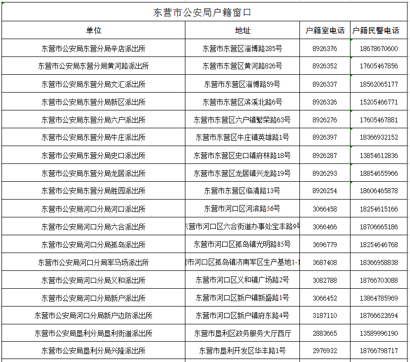 东营市最新人口普查_人口普查