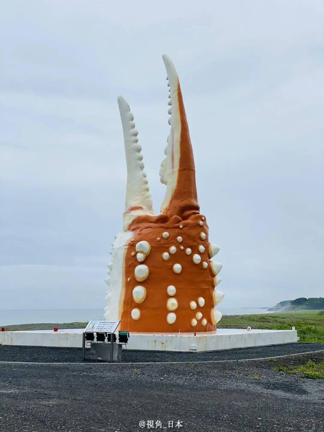 &|今日趣闻 竭尽全力给饲养员添堵的海狮 & 北海道特有的风景 等