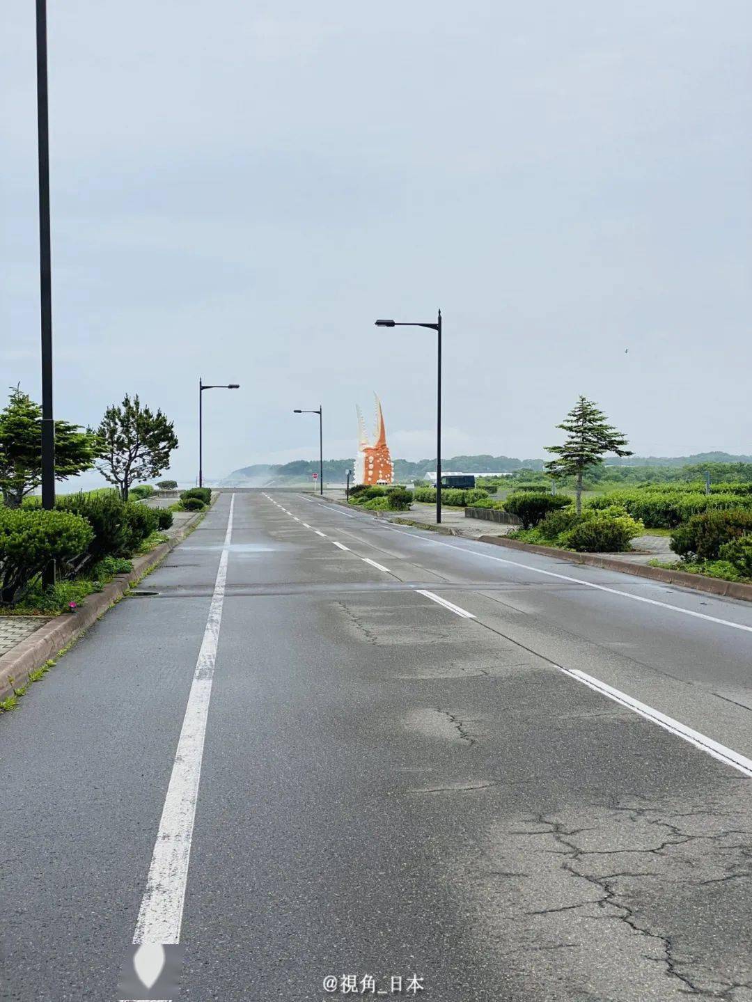 &|今日趣闻 竭尽全力给饲养员添堵的海狮 & 北海道特有的风景 等