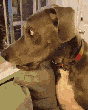 cfafb774c4f14f2da7e2bd76d1339800.gif