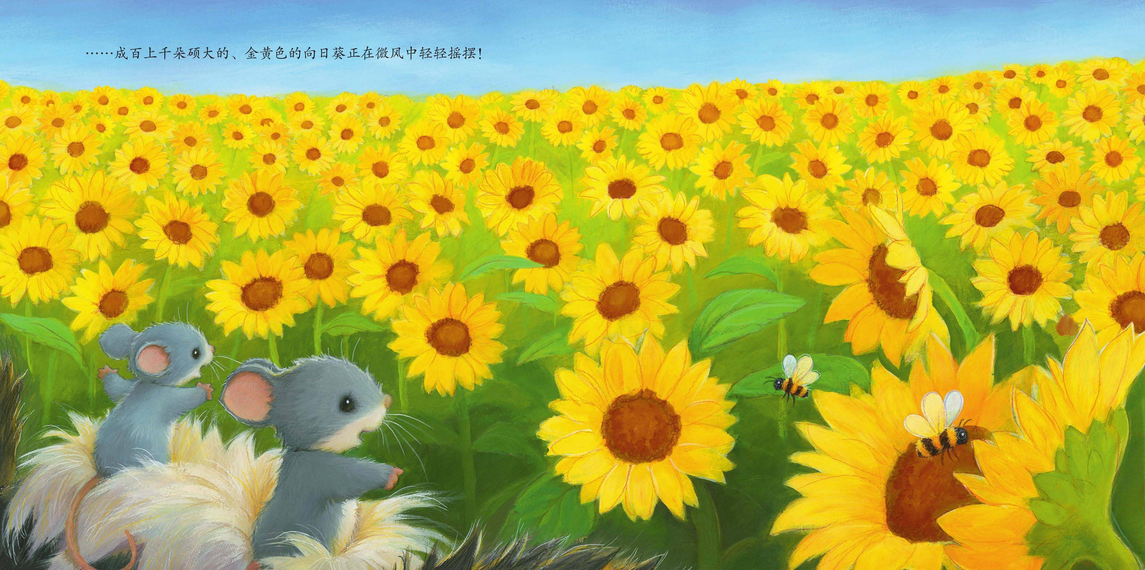 儿童绘本故事推荐妈妈的小小向日葵