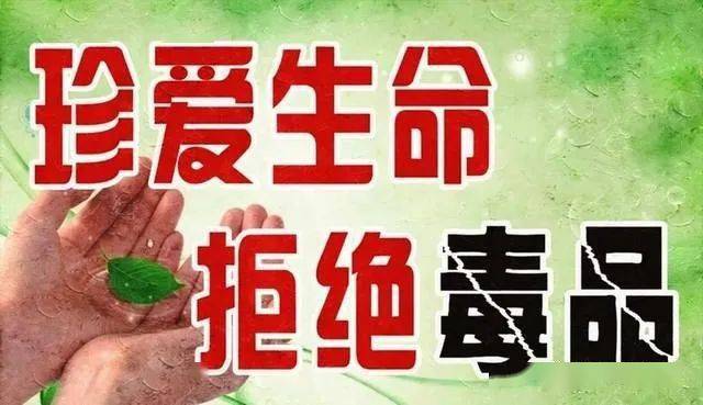 全世界有多少人在吸毒 3fd266191d434c95a1d12f439f6139a6.jpeg