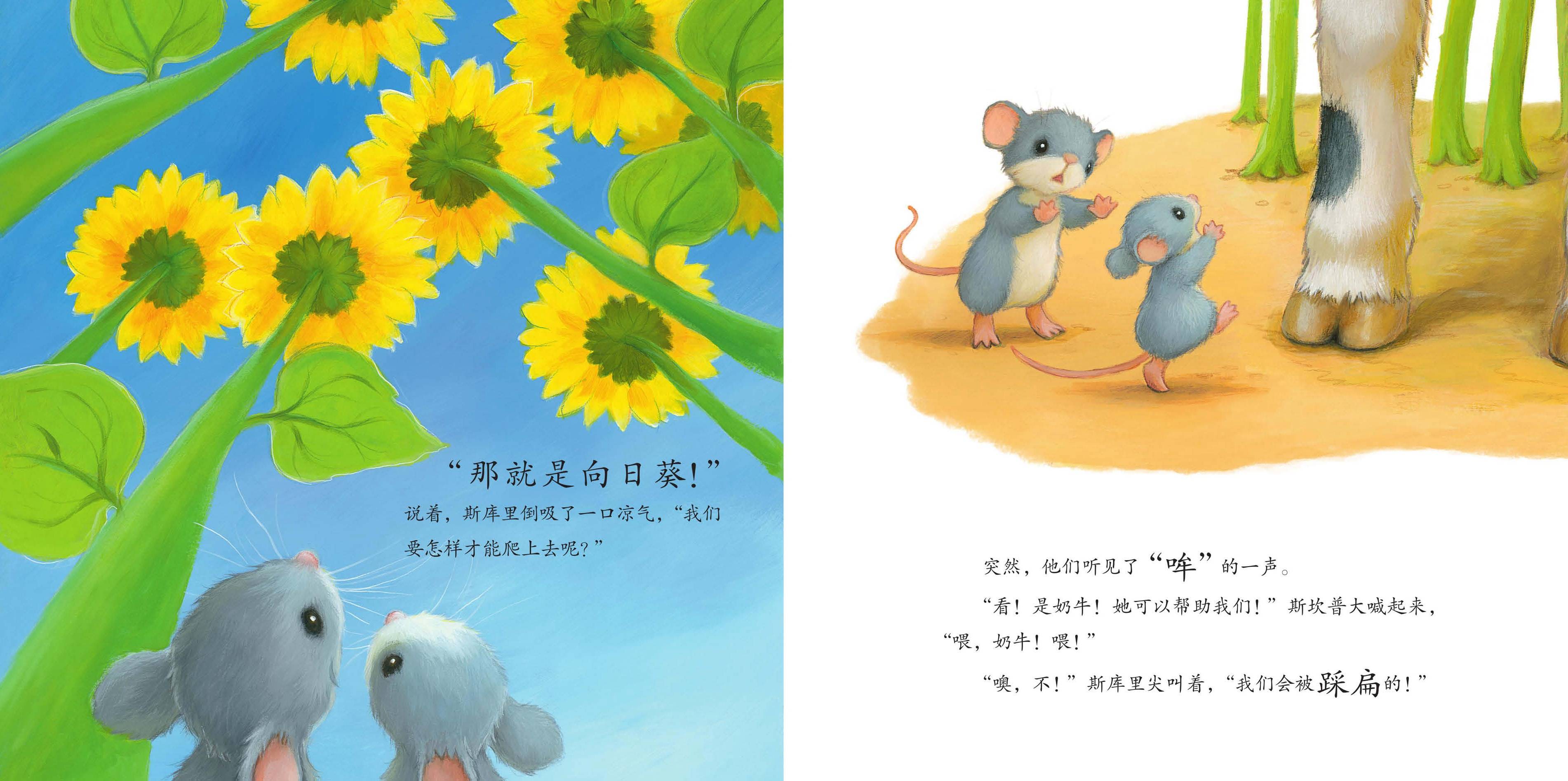 儿童绘本故事推荐《妈妈的小小向日葵》