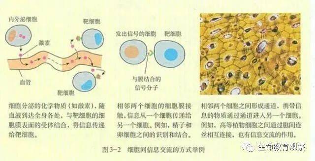 从课本上走出的高考题,做到"心中有书,做题不慌"_细胞