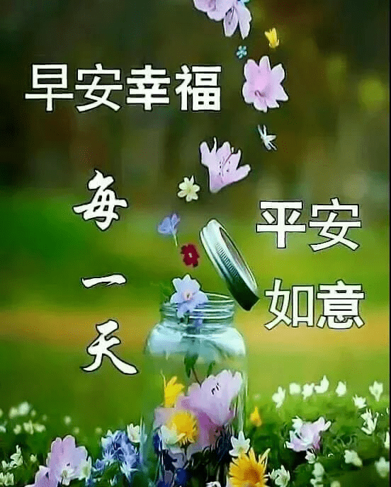 非常漂亮的早上好鲜花带字问候图片大全 六月最温馨的