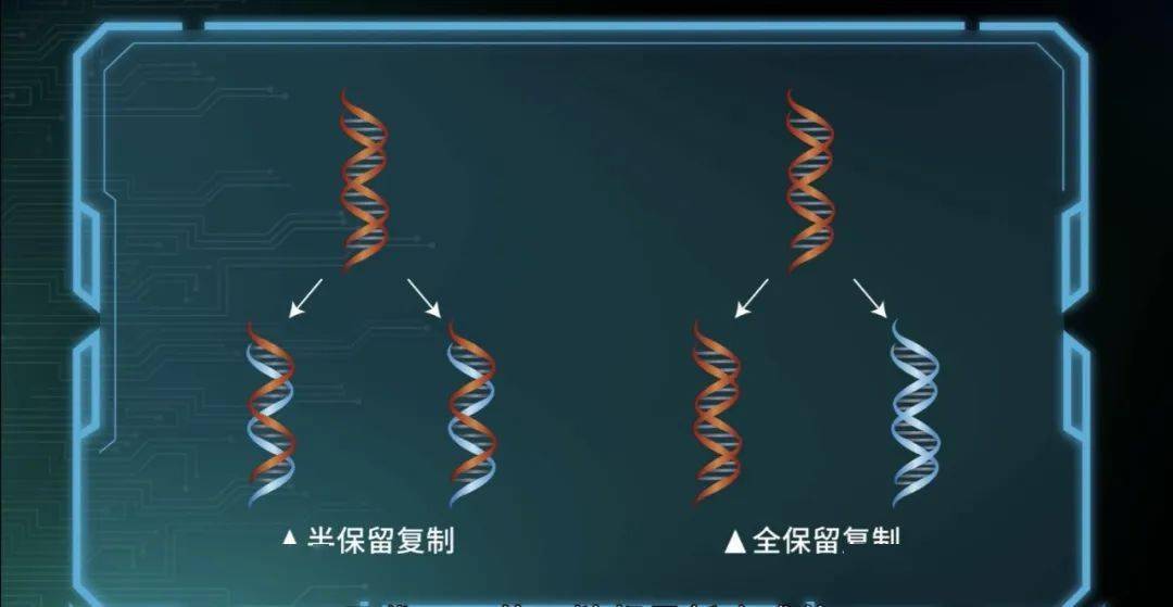 长影集团董事长赵彪