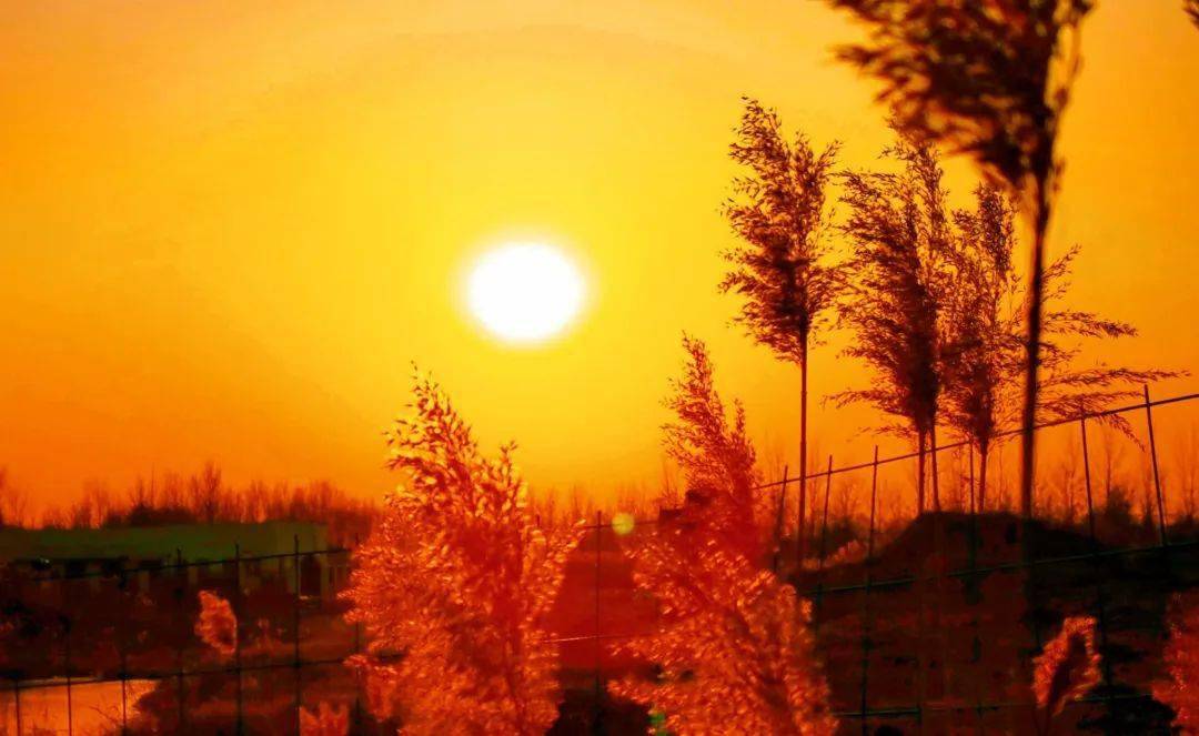 这种说法是大错特错, 夕阳才是最美的年纪,温馨又从容,最美不过夕阳红