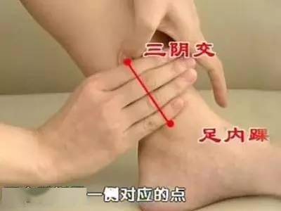 怎么调理脾胃水肿 ea2de948d3be4e2bbdc5749115222253.jpeg